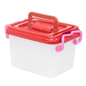 Baskets,commodes boxes, containers Container with lid (2,5 l.)